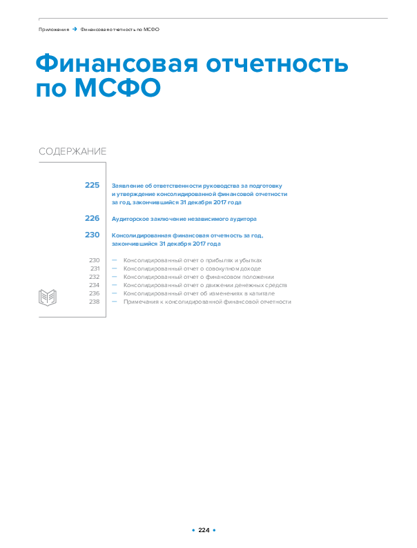 Консолидированная финансовая отчетность