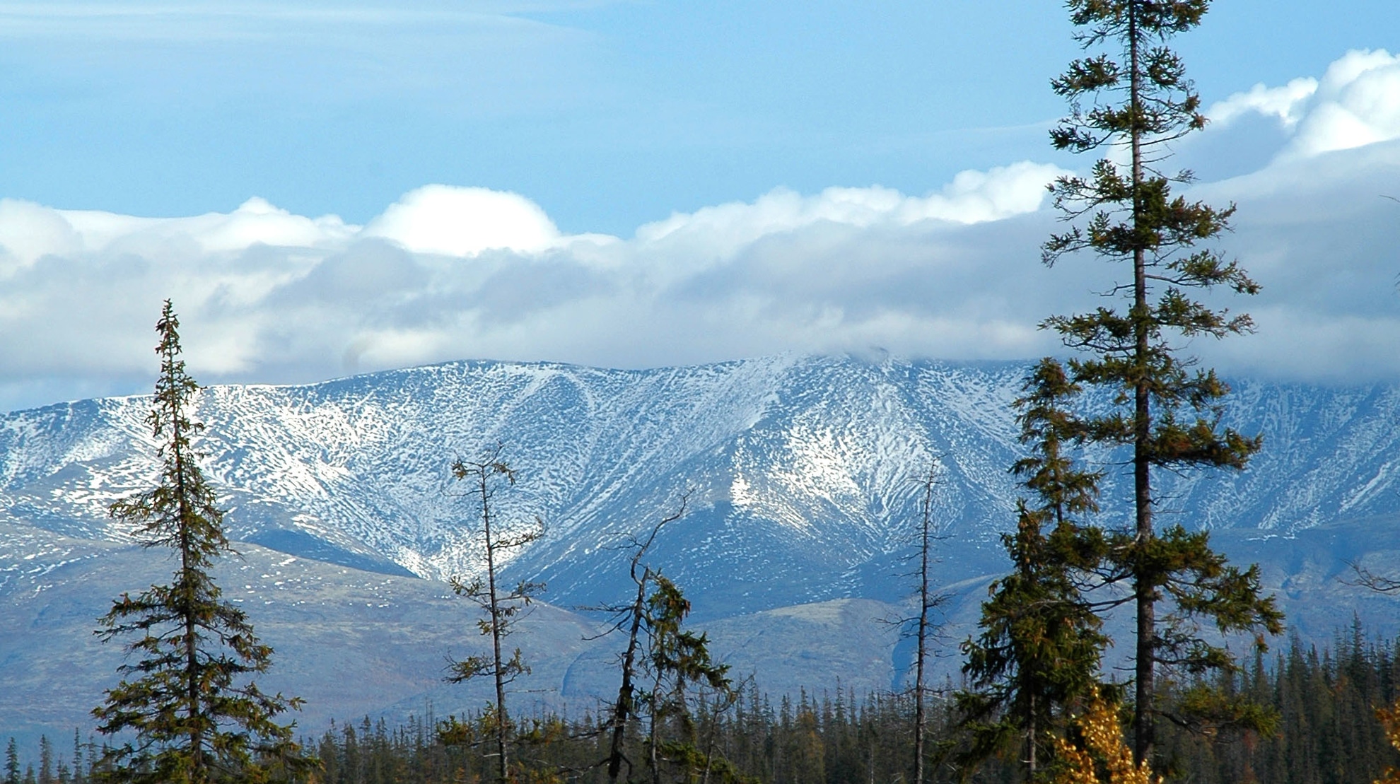 The Lapland State Nature Biosphere Reserve