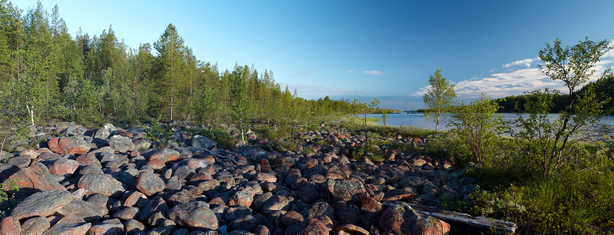 The Pasvik Nature Reserve